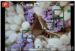 PANASONIC FZ72 - Le sujet n'est pas centré dans l'image (Mise au point à 23 zones) - 1
