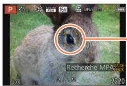 PANASONIC FZ72 - Amenez le sujet dans le cadre du suivi MPA, et appuyez sur [AF/AE LOCK (Fn1)] pour verrouiller le sujet. - 1