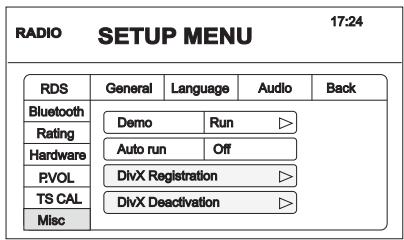AUDIOVOX VME 9325 BTA - Informationen zu Divx - 2
