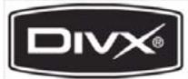 AUDIOVOX VME 9325 BTA - Informationen zu Divx - 1