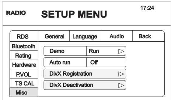 AUDIOVOX VME 9325 BTA - Informations sur divx - 2