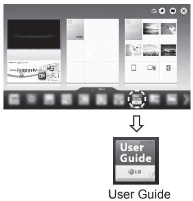 LG 47LA660S - USING THE USER GUIDE - 1