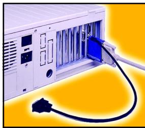 FREECOM TRAVELLER II+ - Possibilities de raccordement pour le lecteur Freecom - 1