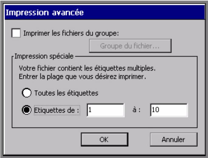 BRADY GLOBALMARK - Pour imprimer un sous-ensemble d'un jeu d'étiquettes - 1