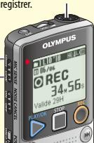 OLYMPUS DP-20 - Basse - 1