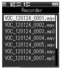 OLYMPUS LS-20 - Fichier bloqué [Fichier bloqué] - 3