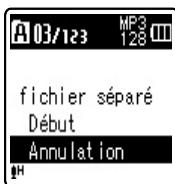 OLYMPUS VN-8500PC - Fichier divisé - 1