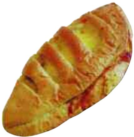 MAGIMIX CS4200XL COFFRET SMOOTHIE - Naan (pains indiens) - 1