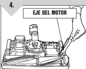 ROYAL SR30017 - HERRAMIENTA NECESARIA: DESTORNILLADOR PHILLIPS - 4