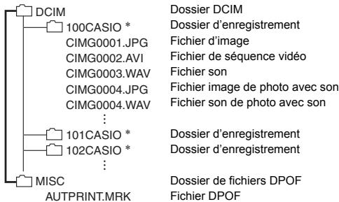 CASIO EXILIM EX-ZS200 - Structure des dossiers de la mémoire - 1