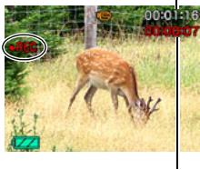 CASIO EXILIM EX-ZS200 - En mode REC, dirigez l'appareil photo vers le sujet et appuyez sur [●] (Sequence). - 2