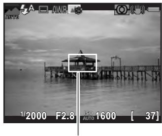 PENTAX K50 - Positionnez le sujet à l'intérieur de la mire AF sur l'écran et pressez le déclencheur à mi-course. - 1