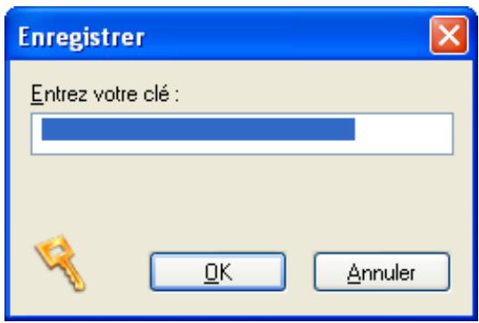 AVAST ANTIVIRUS EDITION PROFESSIONNELLE 4.8 - Pour commencer - 4