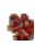 E-TEN X600 - Tapotecz sur, Programmes, puis sur Rechercher. - 8