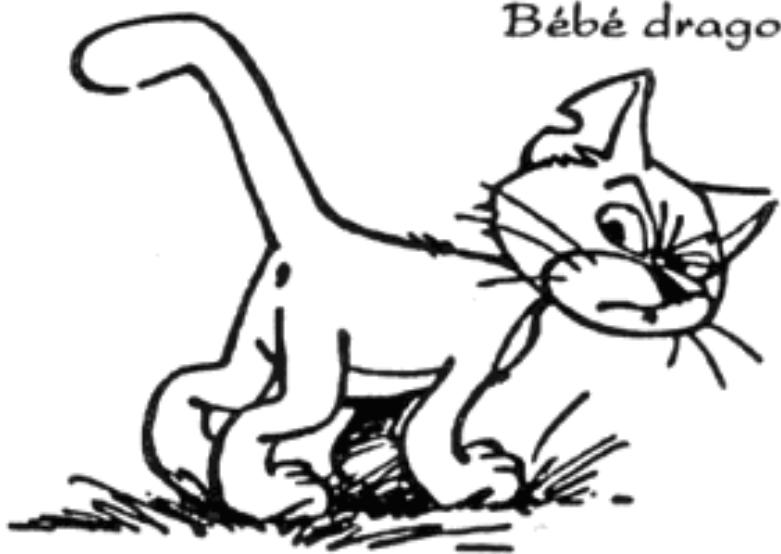 GAMES NINTENDO NES LES SCHTROUMPFS - SCHTROIMPS - 3