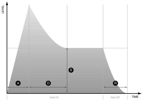 ACCESS VIRUS TI POLAR - RELEASE (Relachement) - 1