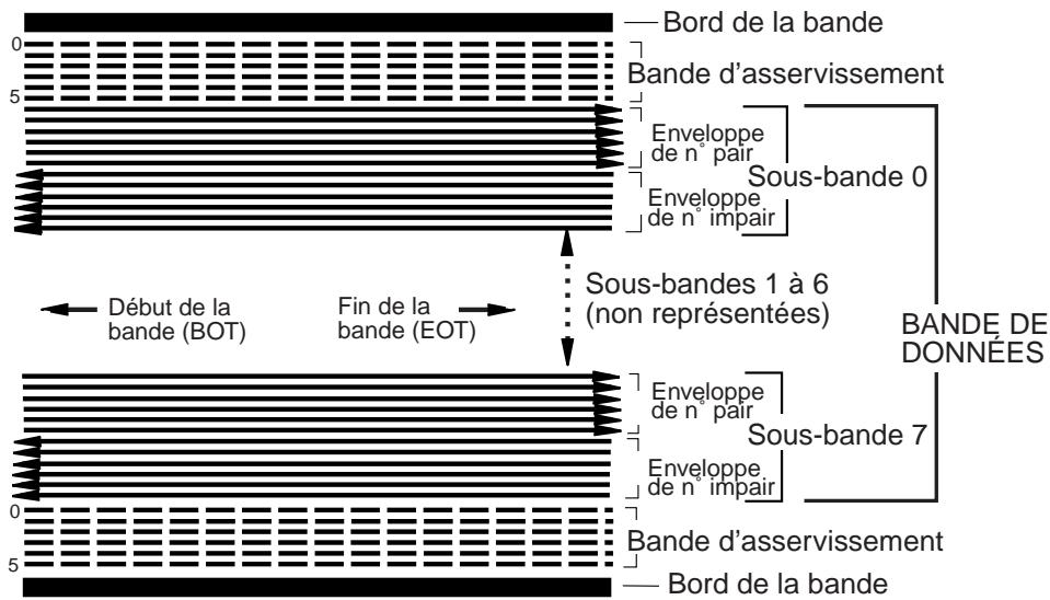 QUANTUM VIPER 200 LTO - Disposition des pistes - 1