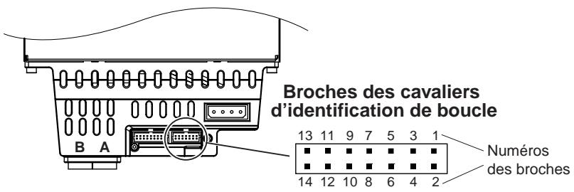 QUANTUM VIPER 200 LTO - Réglages des cavaliers - 1