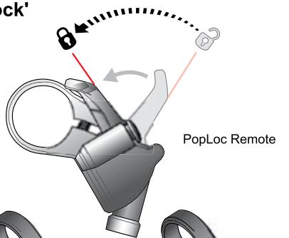 DAHON DOMAIN - 'Open' Compression (Fig. 1) - 8