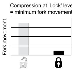DAHON DOMAIN - 'Open' Compression (Fig. 1) - 6