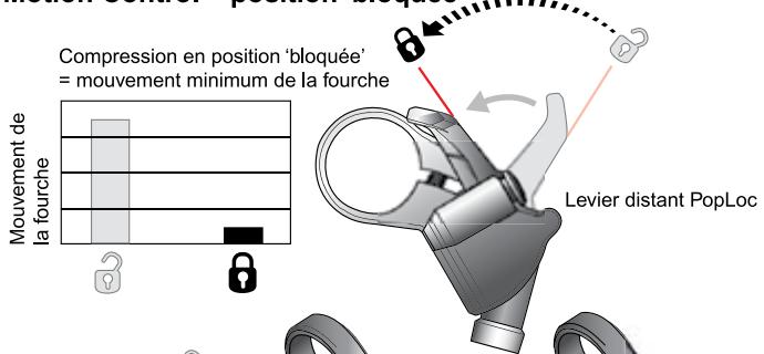 DAHON DOMAIN - Compression 'ouverte' (Fig. 1) - 2