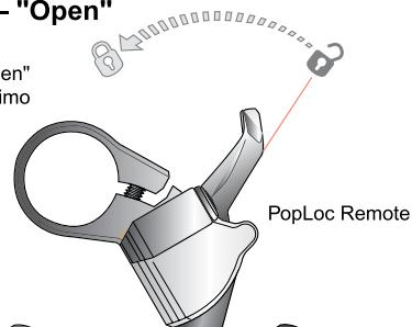 DAHON REBA - SISTEMA DI SMORZAMENTO DEL CONTROLLO MOVIMENTO (Pike, Revelation, Reba, Domain 318IS, Argyle 318 &amp; 409) - 2