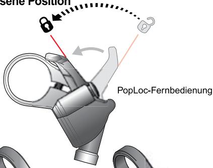 DAHON REBA - Entsperren der Druckstufe (Abb. 1) - 3