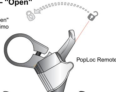 DAHON REVELATION - SISTEMA DI SMORZAMENTO DEL CONTROLLO MOVIMENTO (Pike, Revelation, Reba, Domain 318IS, Argyle 318 &amp; 409) - 2