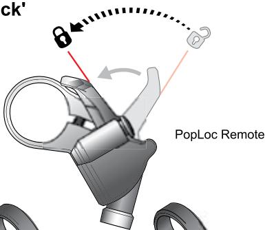 DAHON REVELATION - 'Open' Compression (Fig. 1) - 8