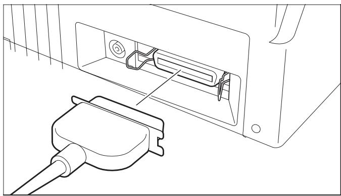 TALLY T2030-24 - Connecting the printer - 3