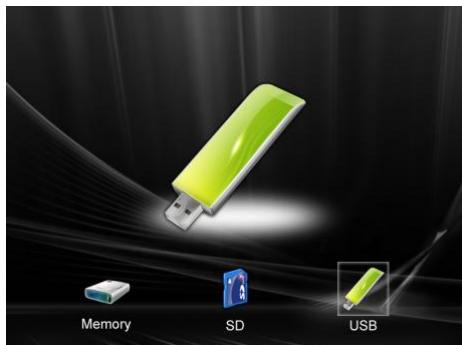 TELEFUNKEN DPF 10933 6 - Memoria interna / Supporto rimovabile - 1