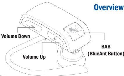 BLUEANT V1 - What's in the Package? - 1