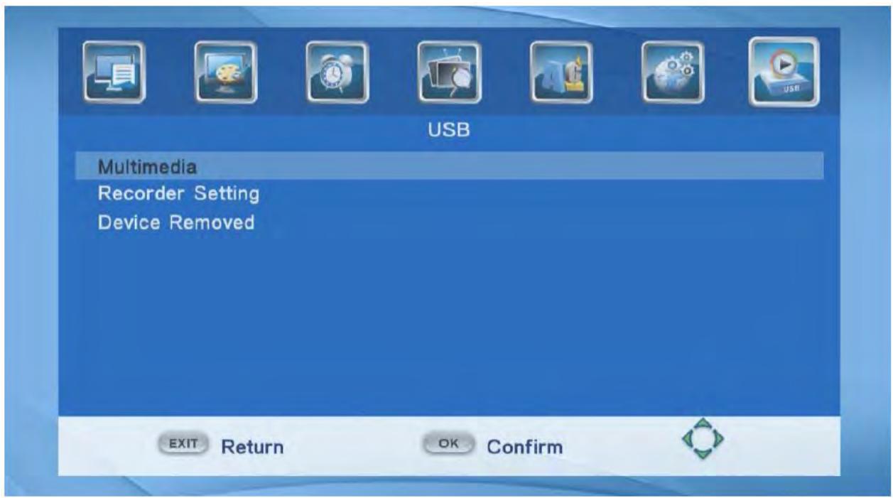 BRANDT BTR1203HD - USB - 1