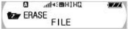 VIETA VPD-1256 - Suppression de fichier - 1