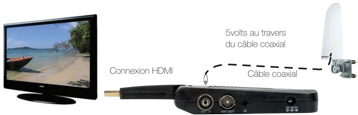 OPTEX ORT8897-HD - E.3) Connexion avec une antenne interieure - 1
