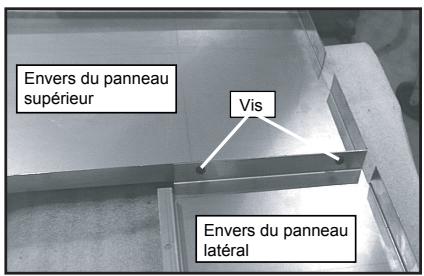 QUADRA FIRE MTVIAE-CE-CSB - Ensemble de panneaux et de finition, modèle de base - 1