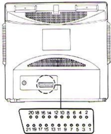 EUROMAN A3632 - RACCORDEMENT STANDARD DE LA PERITELEVISION POUR TV ET SYSTEME VIDEO - 1