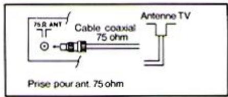 EUROMAN A3632 - BRANCHEMENT D'ANTENNE - 1