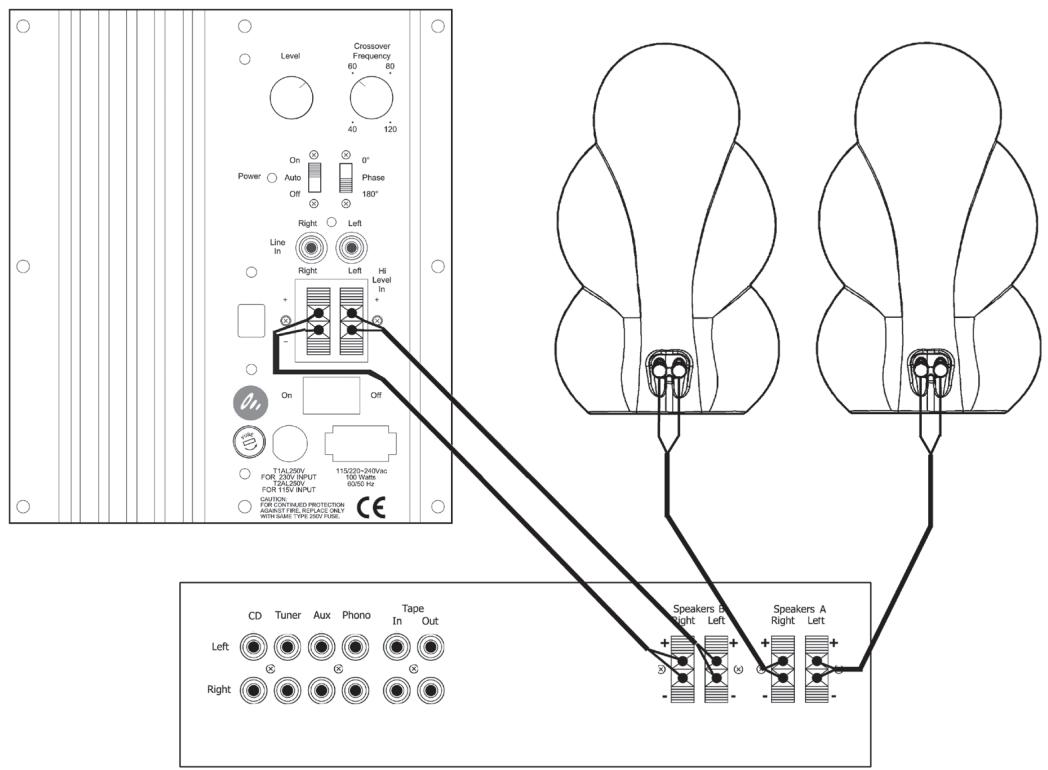 SCANDYNA MINIBASS - Posizonare i controlli - 4