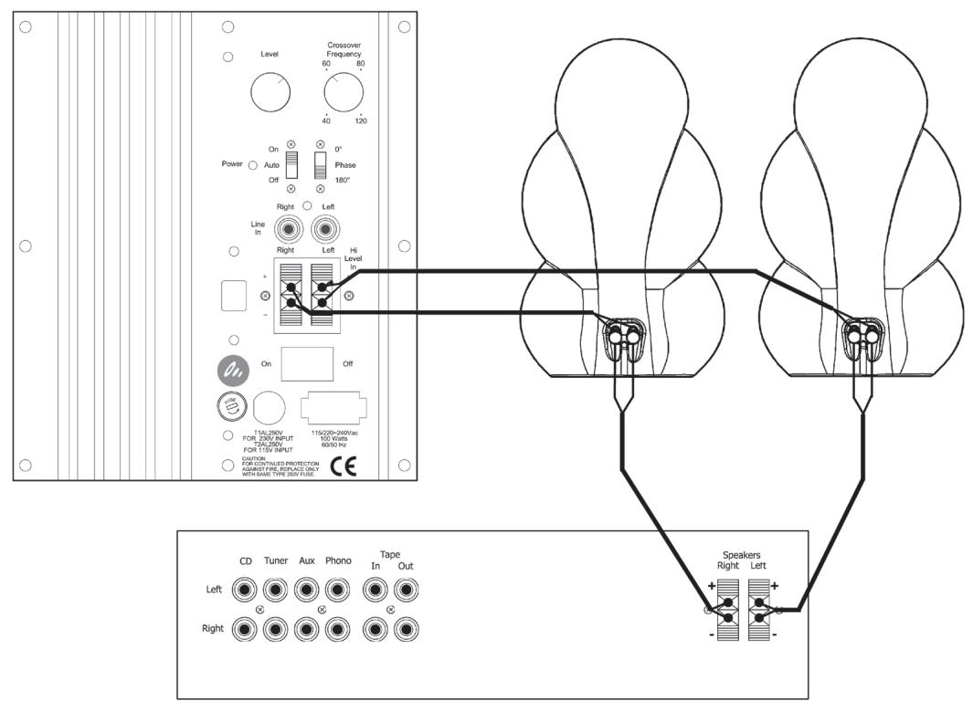 SCANDYNA MINIBASS - Posizonare i controlli - 8