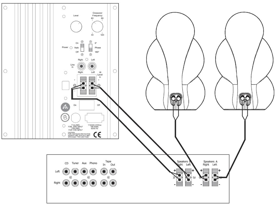SCANDYNA MINIBASS - Set the Controls - 4