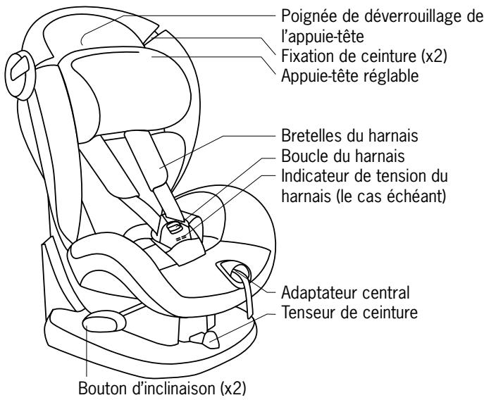 BESAFE IZI COMFORT - Préparation de l'installation Éléments importants - 1