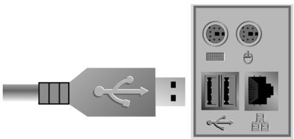 VIVATAR VIVICAM 3740 - Étape 2 : Installation des pilotes Lecteur de carte / Caméra PC - 2