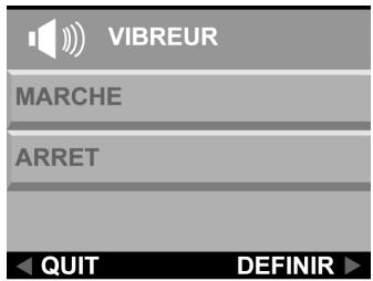 VIVATAR VIVICAM 3740 - Ronflour - 3