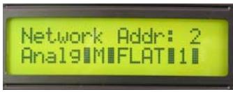 Network Addr: 2 Anal9MIFLAT11