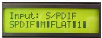 Input: S/PDIF SPDIF M FLAT 11
