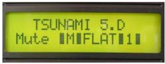 TSUNAMI 5.D Mute IMIFLAT11