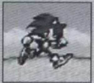 GAMES NINTENDO GAME BOY ADVANCE SONIC ADVANCE - Maintenir enfoncées la Manette + - 1