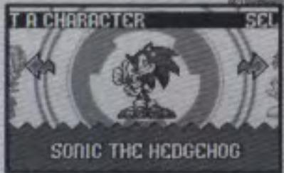 GAMES NINTENDO GAME BOY ADVANCE SONIC ADVANCE - Mode VS en Multi-Game Pak (Multi-cartouches) - 3