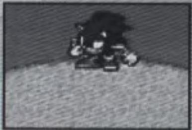 GAMES NINTENDO GAME BOY ADVANCE SONIC ADVANCE - Maintenir enfoncée la Manette + - 1